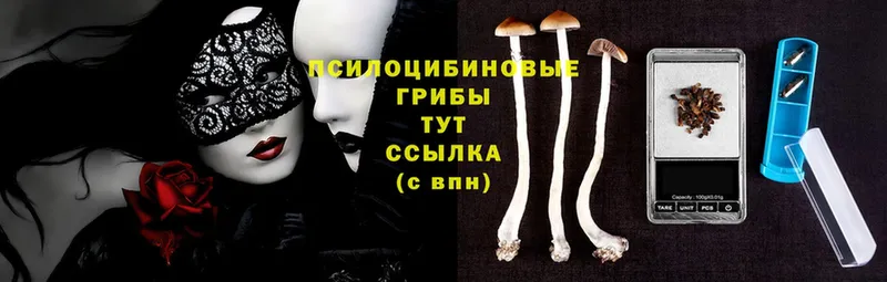 Псилоцибиновые грибы Magic Shrooms  где купить   Бавлы 